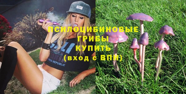 дживик Лихославль