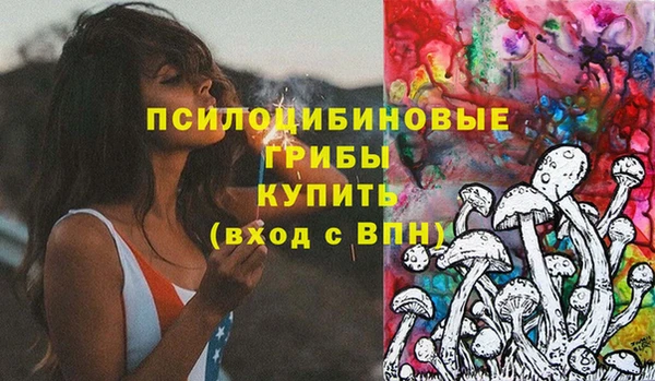 первитин Лиски