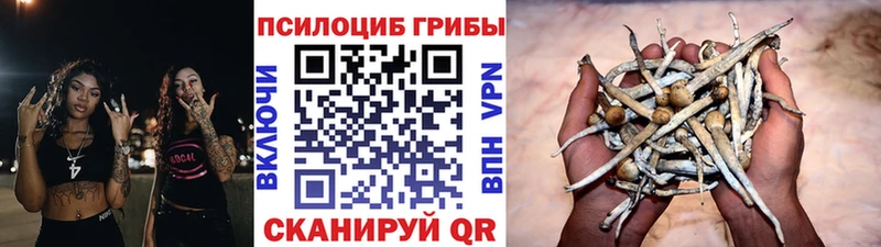 Галлюциногенные грибы MAGIC MUSHROOMS omg ТОР Томмот
